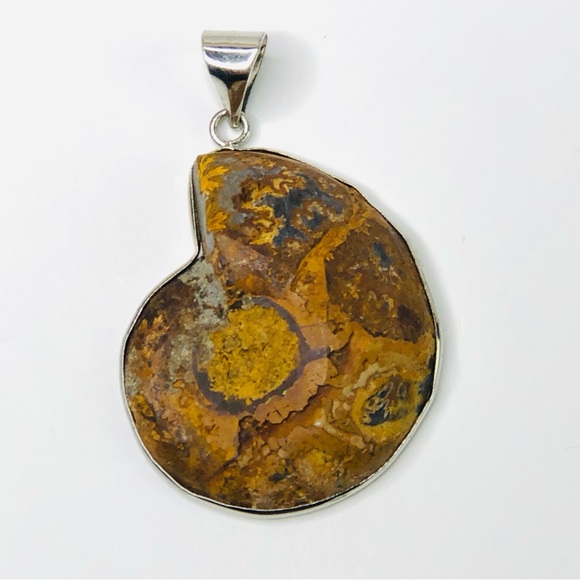 Natural Ammonite Fossil Pendant Charm for Your Own Necklace Choker 1.5" x 1.3" - Picture 1 of 4